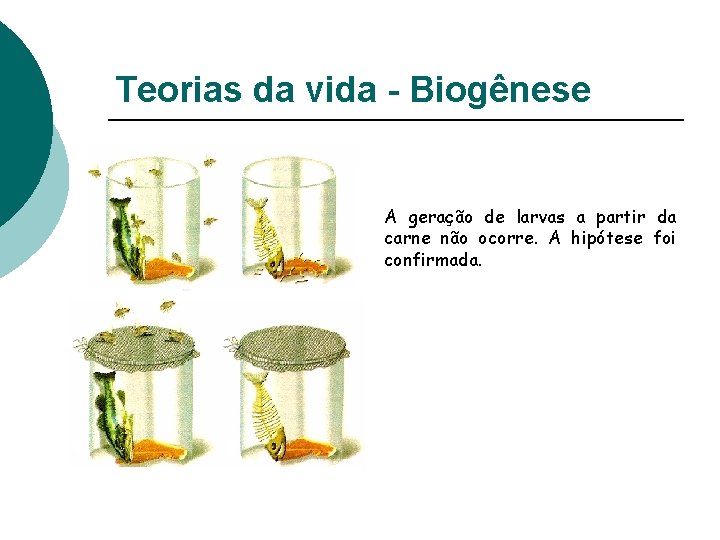 Teorias da vida - Biogênese A geração de larvas a partir da carne não