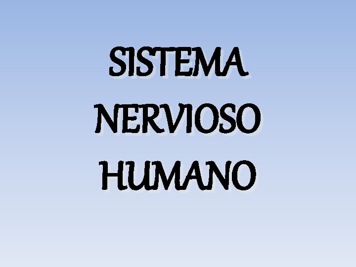 SISTEMA NERVIOSO HUMANO 