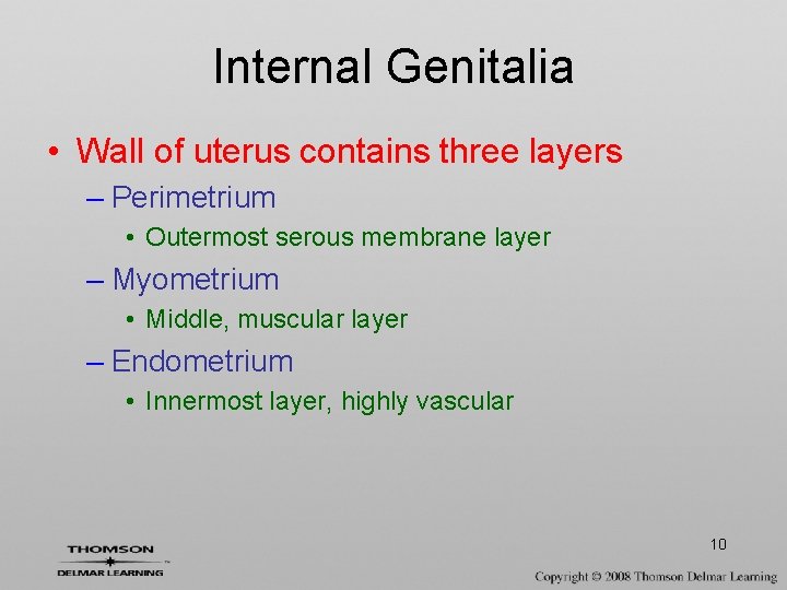 Internal Genitalia • Wall of uterus contains three layers – Perimetrium • Outermost serous