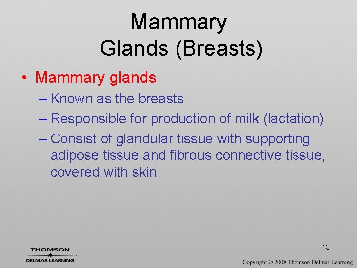 Mammary Glands (Breasts) • Mammary glands – Known as the breasts – Responsible for