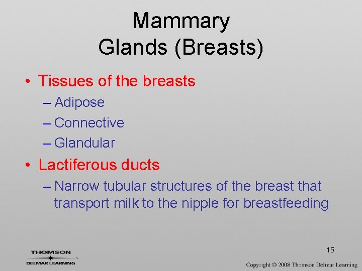 Mammary Glands (Breasts) • Tissues of the breasts – Adipose – Connective – Glandular