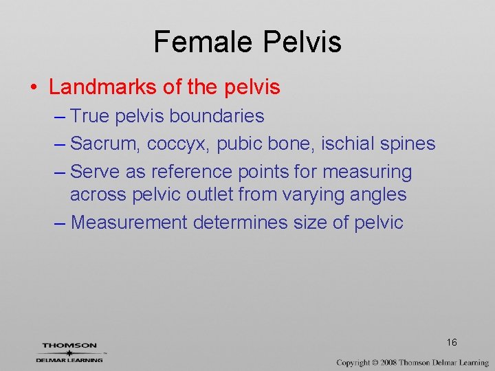 Female Pelvis • Landmarks of the pelvis – True pelvis boundaries – Sacrum, coccyx,