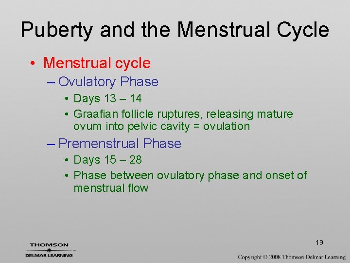 Puberty and the Menstrual Cycle • Menstrual cycle – Ovulatory Phase • Days 13