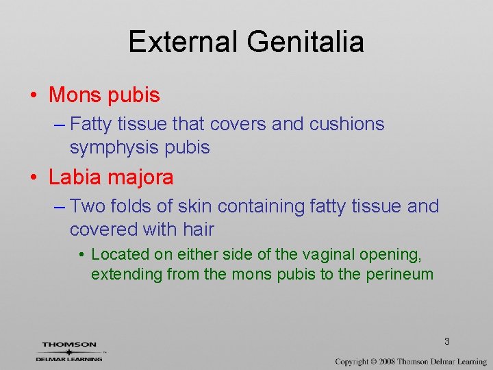 External Genitalia • Mons pubis – Fatty tissue that covers and cushions symphysis pubis