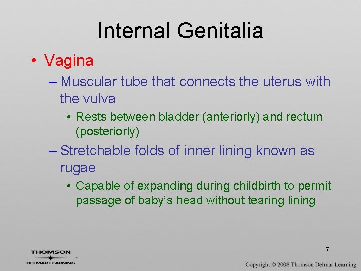 Internal Genitalia • Vagina – Muscular tube that connects the uterus with the vulva