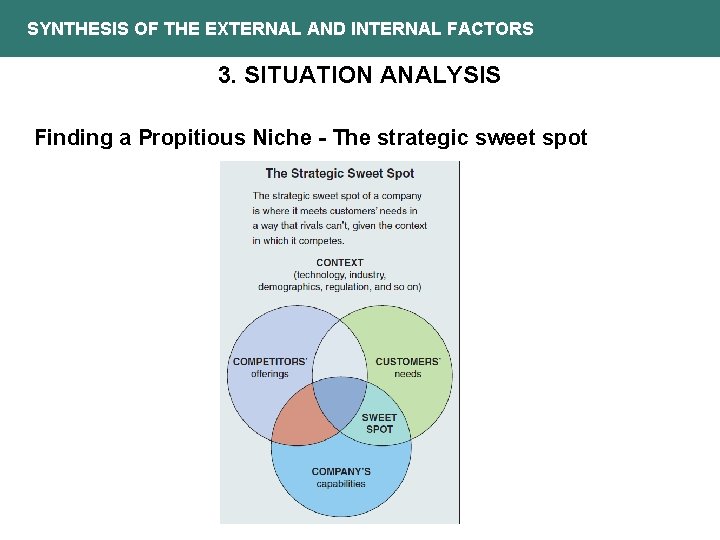 SYNTHESIS OF THE EXTERNAL AND INTERNAL FACTORS 3. SITUATION ANALYSIS Finding a Propitious Niche