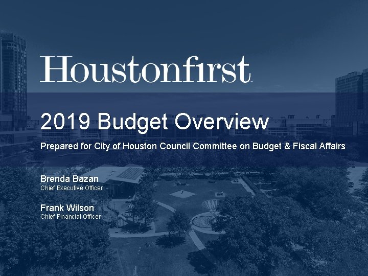 2019 Budget Overview Prepared for City of Houston Council Committee on Budget & Fiscal