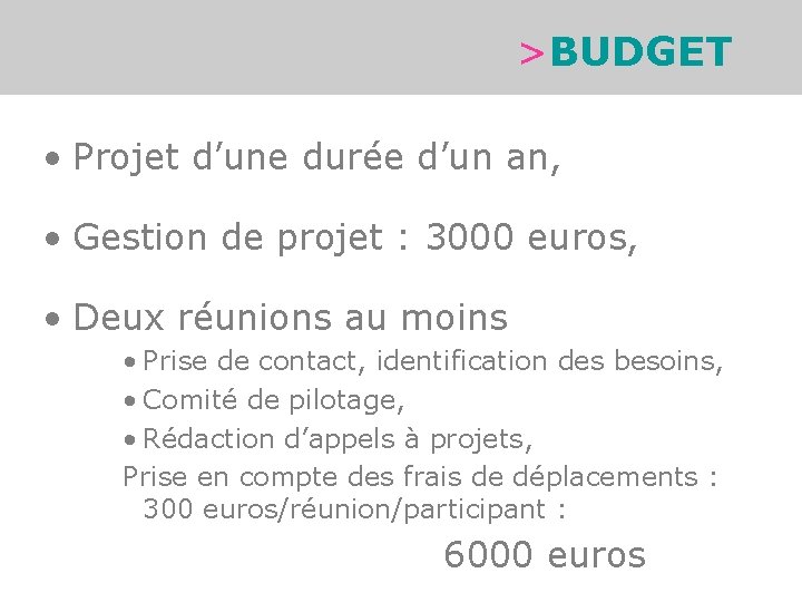 >BUDGET • Projet d’une durée d’un an, • Gestion de projet : 3000 euros,