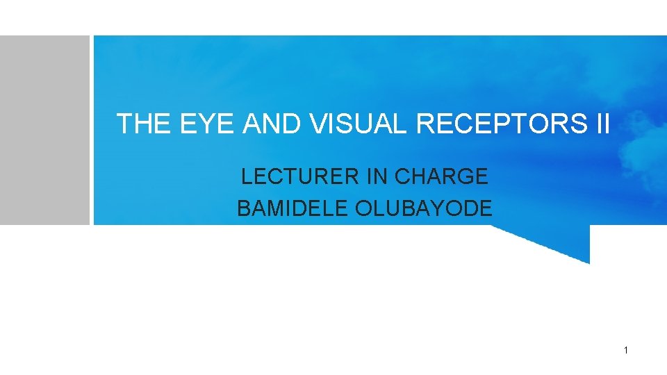THE EYE AND VISUAL RECEPTORS II LECTURER IN CHARGE BAMIDELE OLUBAYODE 1 