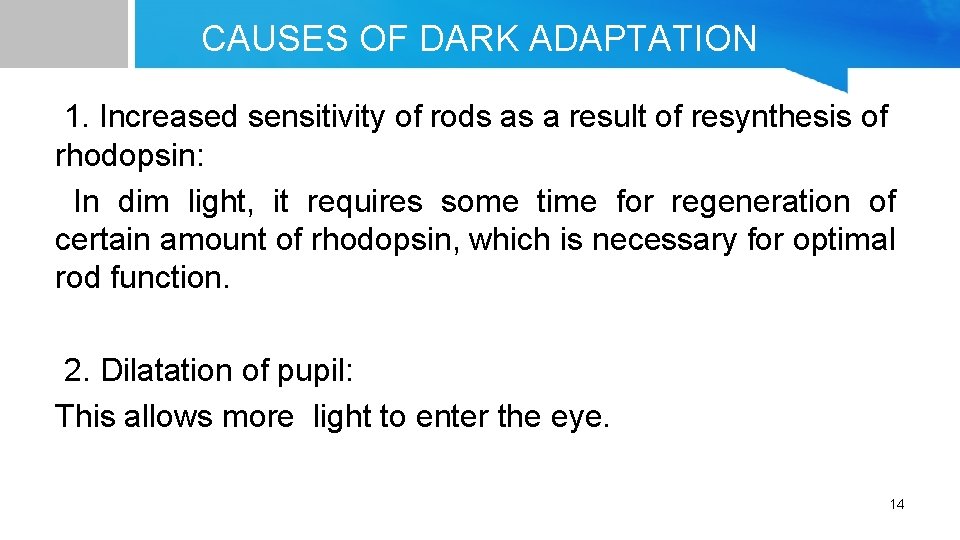 CAUSES OF DARK ADAPTATION 1. Increased sensitivity of rods as a result of resynthesis