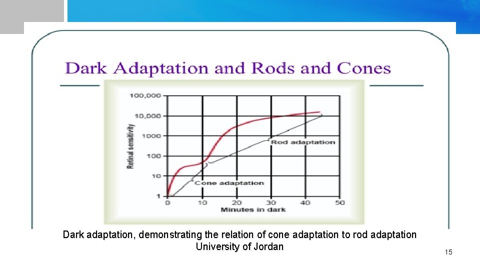 Dark adaptation, demonstrating the relation of cone adaptation to rod adaptation University of Jordan