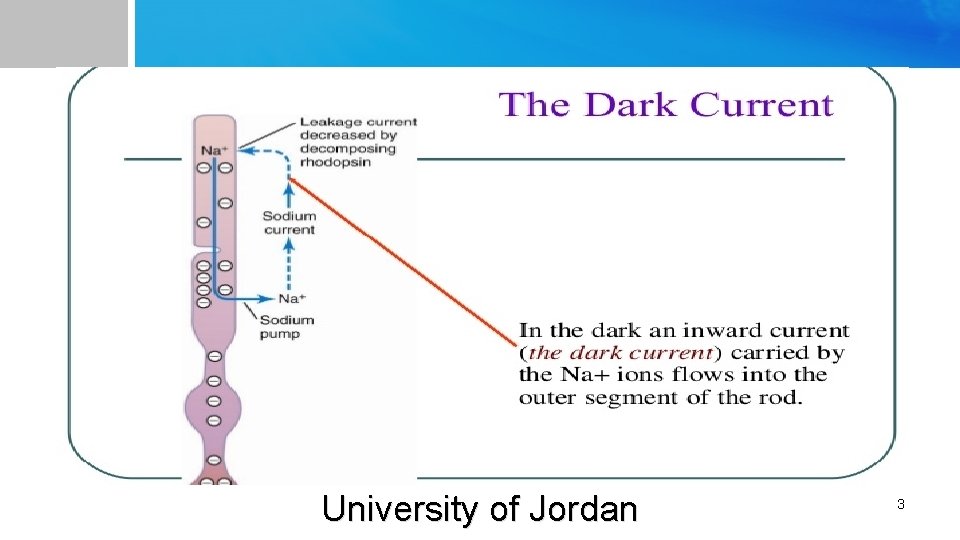 University of Jordan 3 