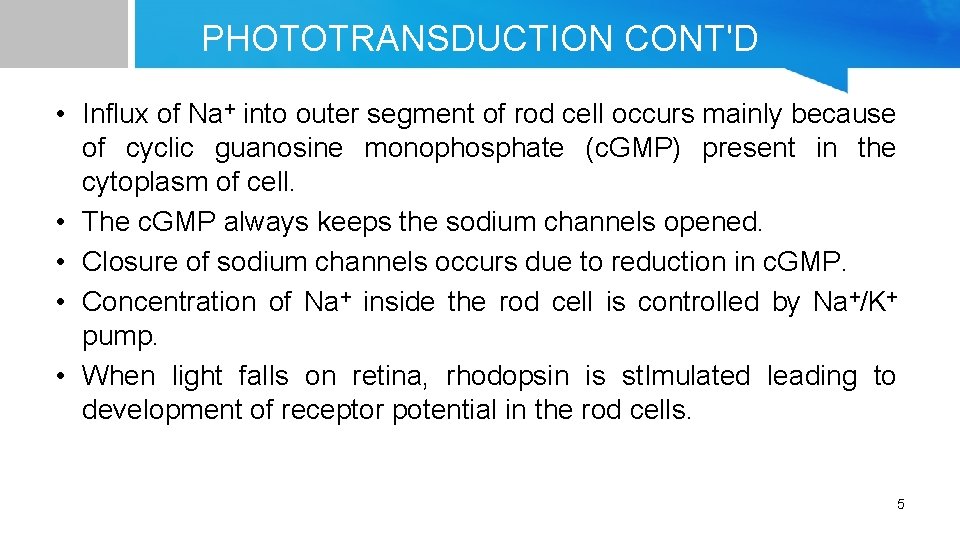 PHOTOTRANSDUCTION CONT'D • Influx of Na+ into outer segment of rod cell occurs mainly