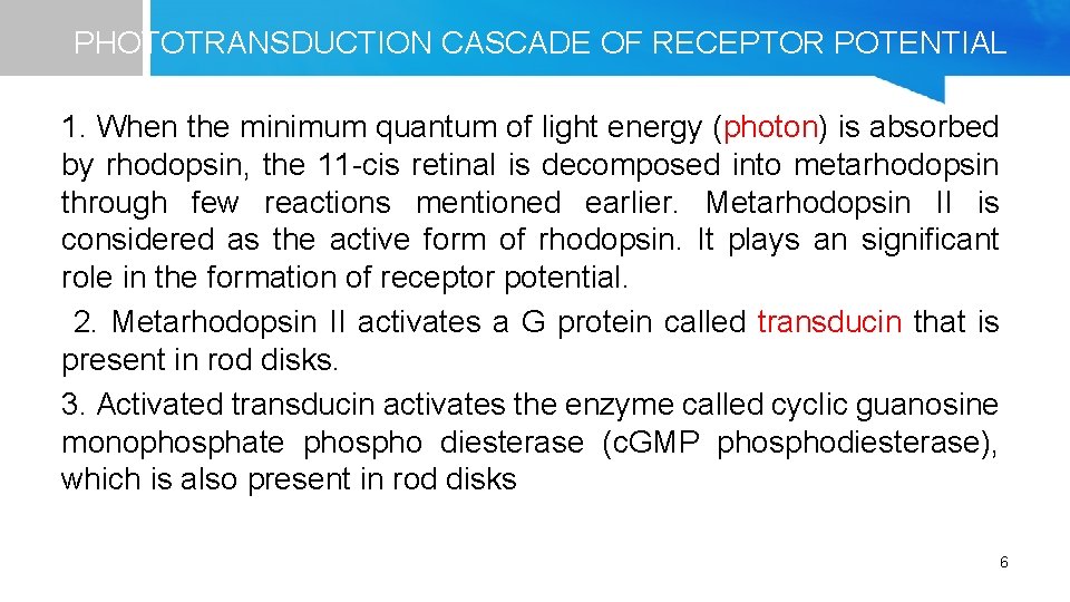 PHOTOTRANSDUCTION CASCADE OF RECEPTOR POTENTIAL 1. When the minimum quantum of light energy (photon)