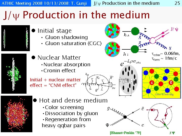 ATHIC Meeting 2008 10/13/2008: T. Gunji J/ Production in the medium 25 J/ Production