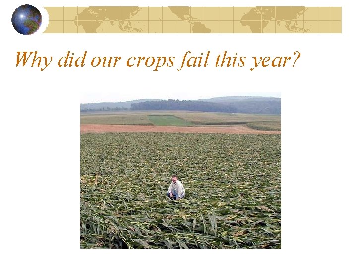 Why did our crops fail this year? 