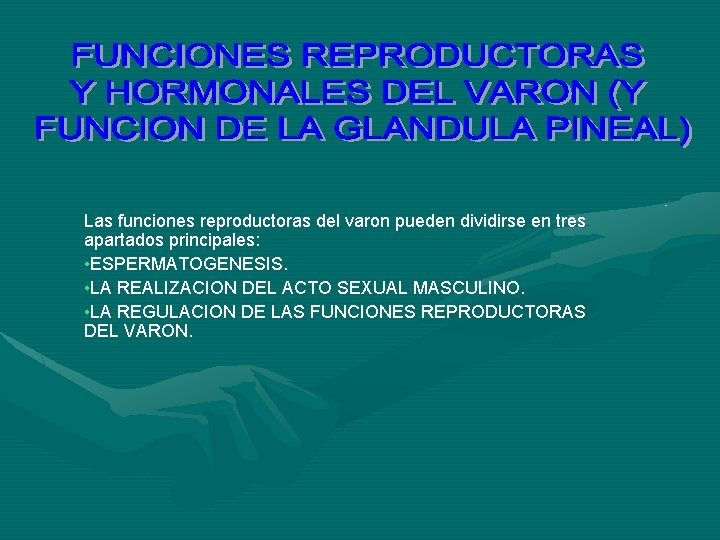 Las funciones reproductoras del varon pueden dividirse en tres apartados principales: • ESPERMATOGENESIS. •