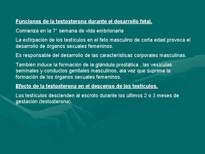 Funciones de la testosterona durante el desarrollo fetal. Comienza en la 7° semana de