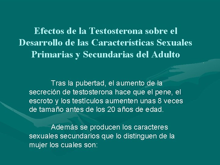 Efectos de la Testosterona sobre el Desarrollo de las Características Sexuales Primarias y Secundarias