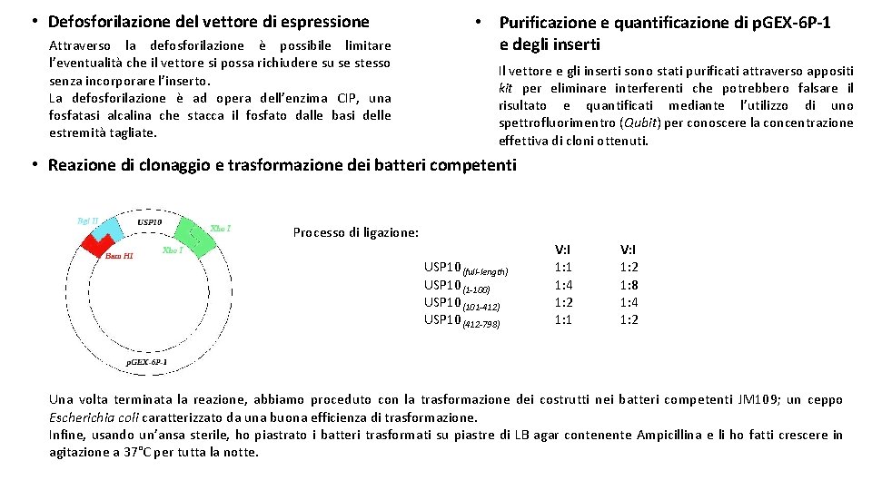  • Defosforilazione del vettore di espressione Attraverso la defosforilazione è possibile limitare l’eventualità