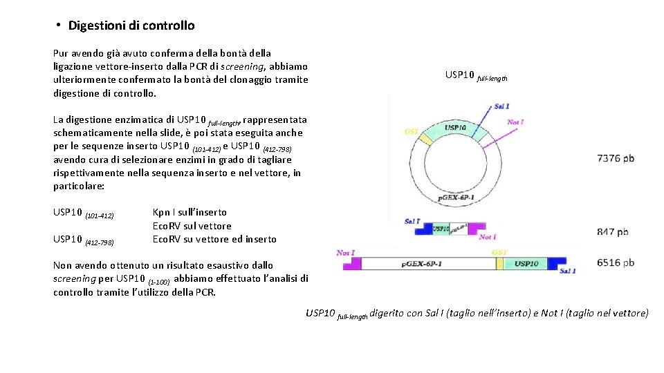  • Digestioni di controllo Pur avendo già avuto conferma della bontà della ligazione