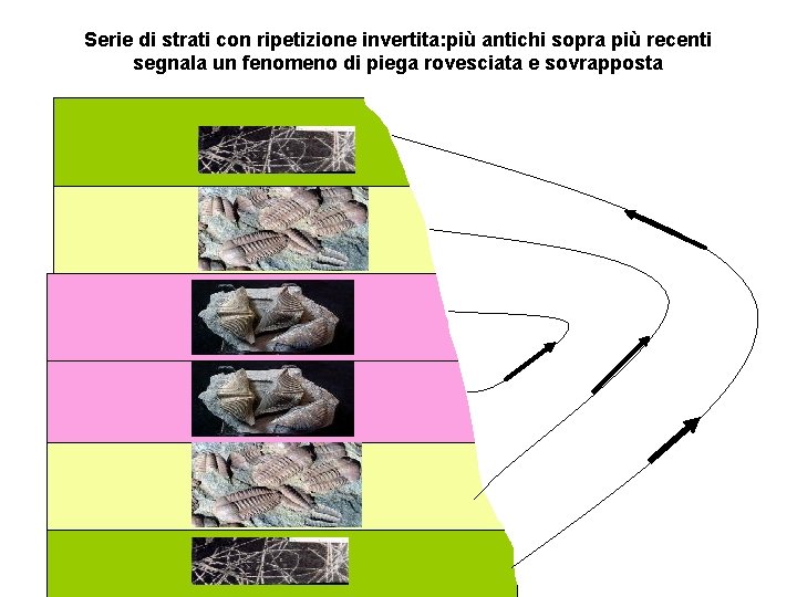 Serie di strati con ripetizione invertita: più antichi sopra più recenti segnala un fenomeno