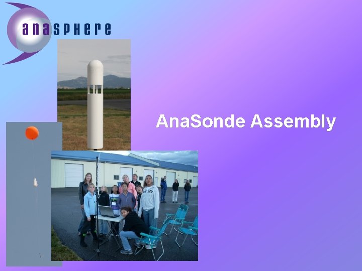 Ana. Sonde Assembly 