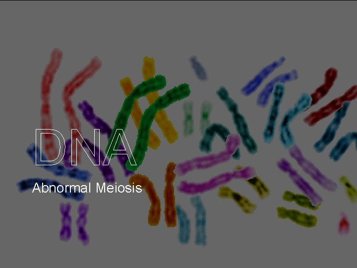 DNA Abnormal Meiosis 