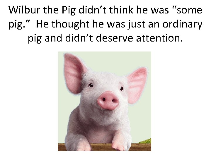 Wilbur the Pig didn’t think he was “some pig. ” He thought he was