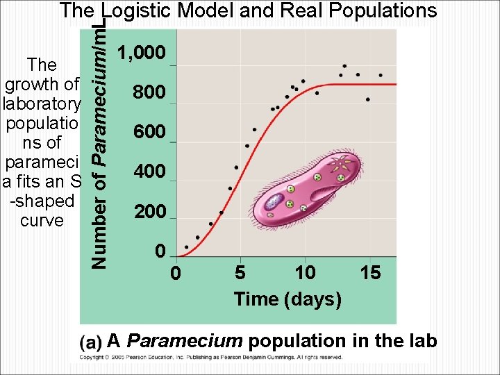 The growth of laboratory populatio ns of parameci a fits an S -shaped curve