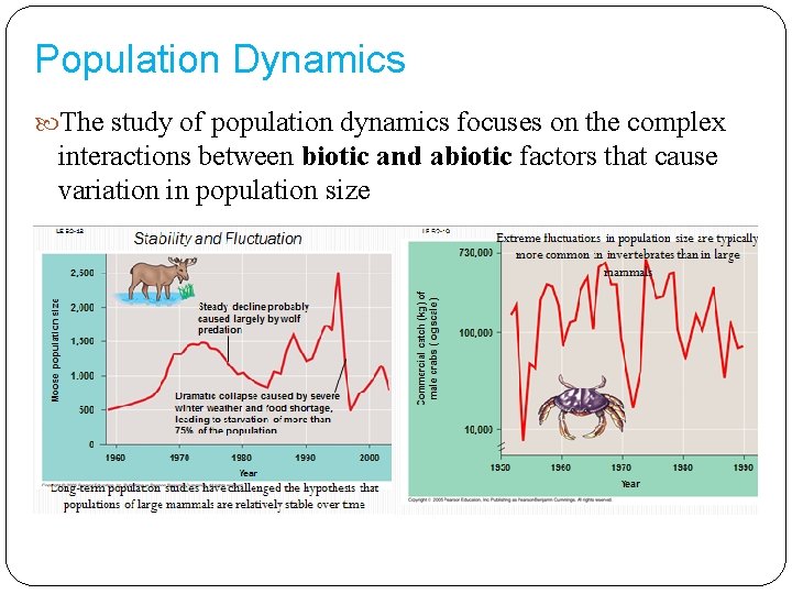 Population Dynamics The study of population dynamics focuses on the complex interactions between biotic