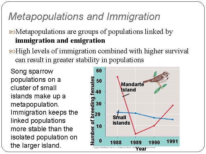 Metapopulations and Immigration Metapopulations are groups of populations linked by immigration and emigration High