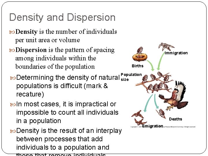 Density and Dispersion Density is the number of individuals per unit area or volume