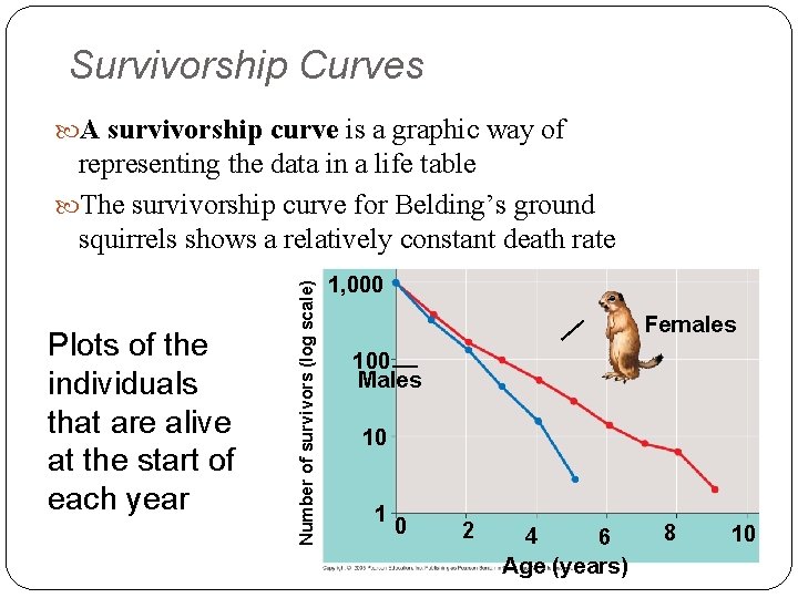 Survivorship Curves A survivorship curve is a graphic way of Plots of the individuals