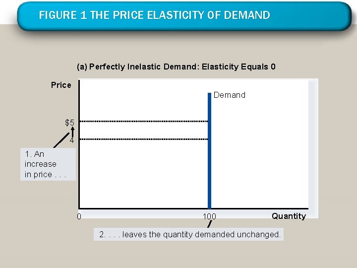 FIGURE 1 THE PRICE ELASTICITY OF DEMAND (a) Perfectly Inelastic Demand: Elasticity Equals 0