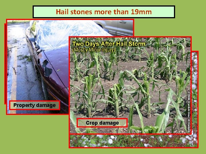 Hail stones more than 19 mm Property damage Crop damage 