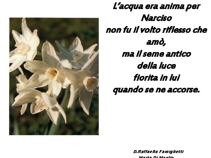 L’acqua era anima per Narciso non fu il volto riflesso che amò, ma il L’acqua era anima per Narciso non fu il volto riflesso che amò, ma il