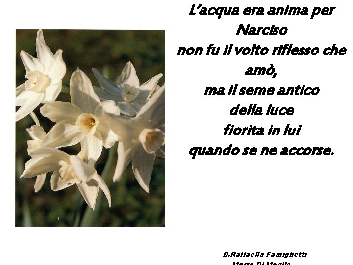 L’acqua era anima per Narciso non fu il volto riflesso che amò, ma il