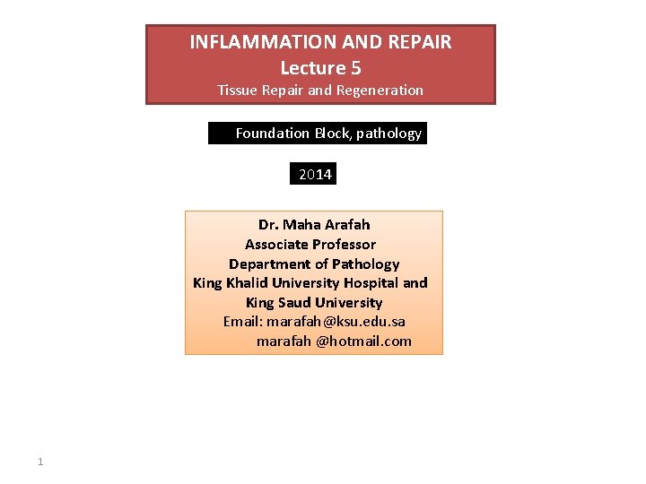 INFLAMMATION AND REPAIR Lecture 5 Tissue Repair and Regeneration Foundation Block, pathology 2014 Dr.