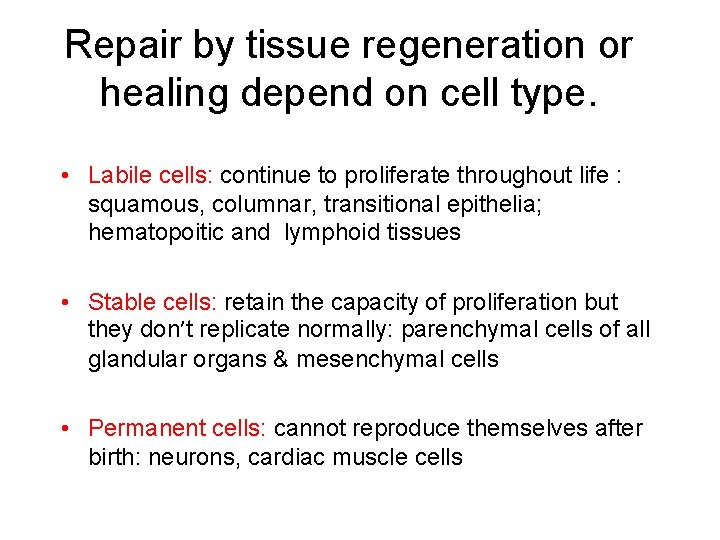 Repair by tissue regeneration or healing depend on cell type. • Labile cells: continue