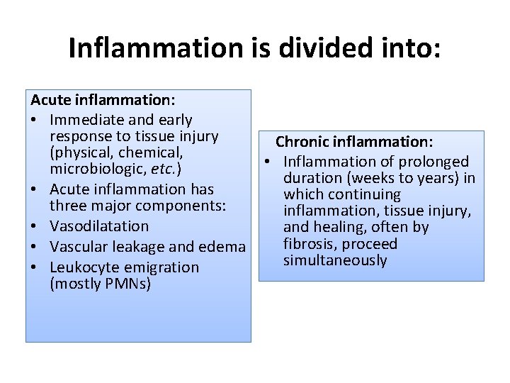 Inflammation is divided into: Acute inflammation: • Immediate and early response to tissue injury