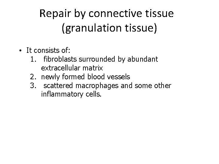 Repair by connective tissue (granulation tissue) • It consists of: 1. fibroblasts surrounded by