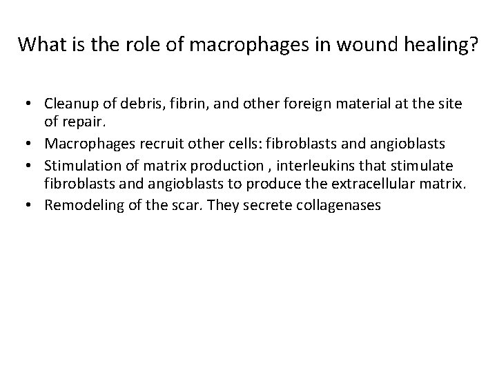 What is the role of macrophages in wound healing? • Cleanup of debris, fibrin,