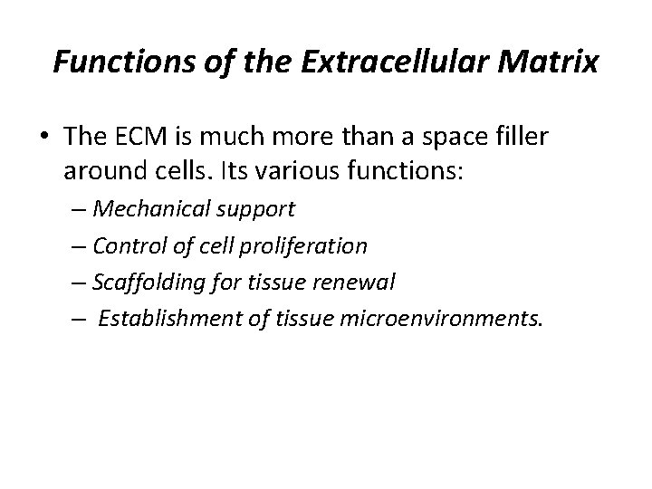 Functions of the Extracellular Matrix • The ECM is much more than a space