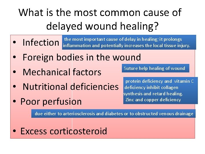 What is the most common cause of delayed wound healing? • • • Infection