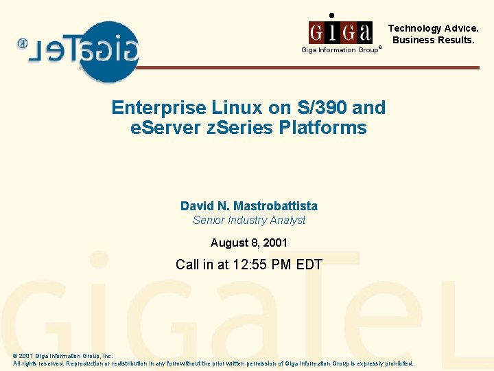 ® Technology Advice. Business Results. Giga Information Group Enterprise Linux on S/390 and e.