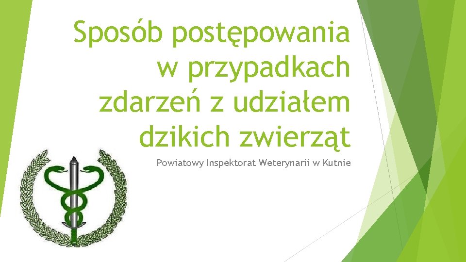 Sposób postępowania w przypadkach zdarzeń z udziałem dzikich zwierząt Powiatowy Inspektorat Weterynarii w Kutnie