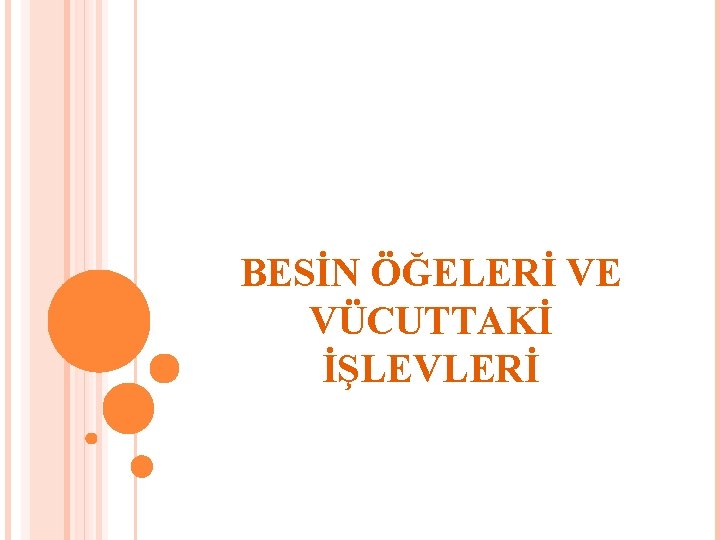 BESİN ÖĞELERİ VE VÜCUTTAKİ İŞLEVLERİ 