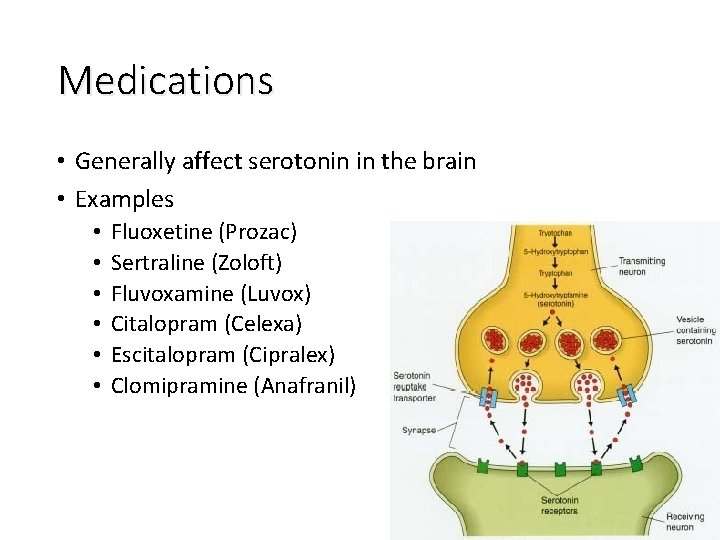 Medications • Generally affect serotonin in the brain • Examples • • • Fluoxetine