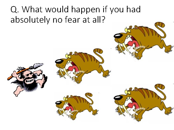 Q. What would happen if you had absolutely no fear at all? 